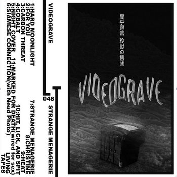 Videograve_3_